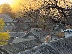 -EATALIA意塔利意式餐厅(鼓楼店)