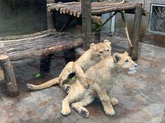 -西安秦岭野生动物园