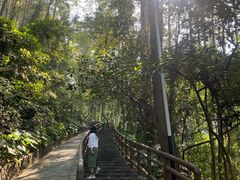 -水濂山森林公园