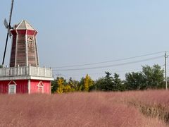 -羊亭河湿地公园