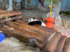-海南热带野生动植物园