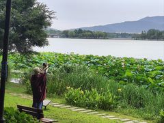 -渤公岛生态公园
