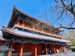 -潭柘寺景区