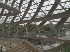 -凤凰中心