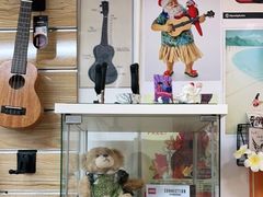 -WithU悠弦时光·尤克里里之家ukulele(宽窄巷子店)