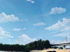 -宝安西湾红树林湿地公园