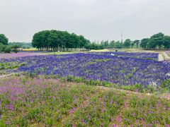 -江苏三台山国家森林公园
