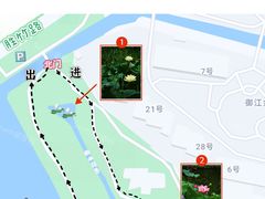 -陈家山荷花公园