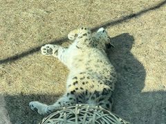 -青藏高原野生动物园