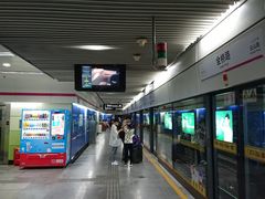 -金桥路(地铁站)