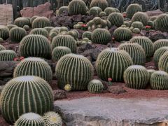 -南通洲际绿博园