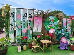 -荷塘月色湿地公园·向阳花洲
