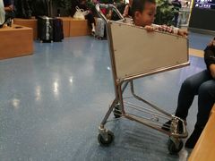 -重庆老字号·吴抄手·高豆花(T3航站楼店)