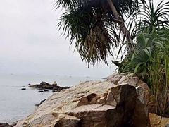 -南丫岛