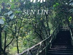 -亚婆田·白水寨生态旅游度假区