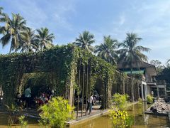 -中国科学院西双版纳热带植物园