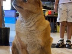 -途肴·老农饭庄(百里峡店)
