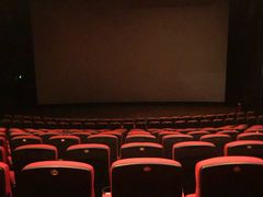 -万达影城(锦华万达广场IMAX店)