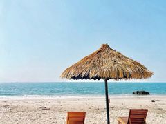 -广东惠东海龟国家级自然保护区