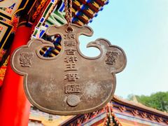 -东莞市大岭山森林公园