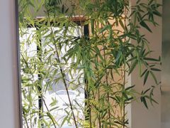 -一捞鲜•青岛大虾面(八大关店)