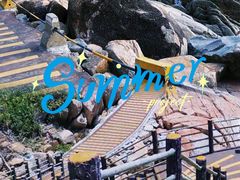 -广东惠东海龟国家级自然保护区