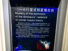 -中国西峡恐龙遗迹园