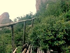 -白草畔自然风景区