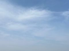 -盐城丹顶鹤湿地生态旅游区