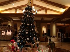 -长白山万达喜来登度假酒店