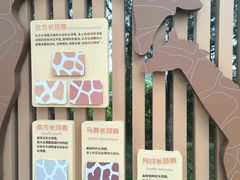-太原动物园