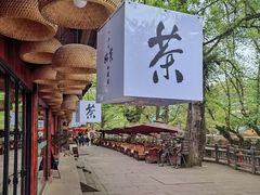 -雅安上里古镇