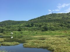 -贵阳市花溪国家城市湿地公园