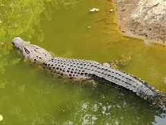 -海南热带野生动植物园