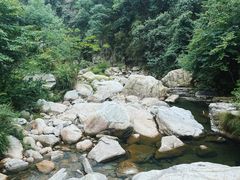 -庐山碧龙潭风景区