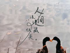 -郑和公园