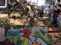 -自贡恐龙博物馆