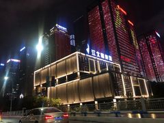 -重庆市江北嘴中央商务区中央公园