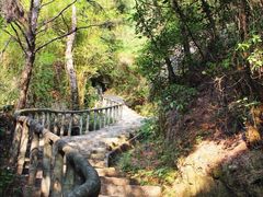 -漳州云洞岩风景区-瑞竹岩