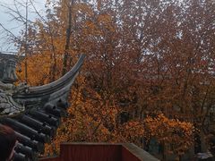-上海白云观