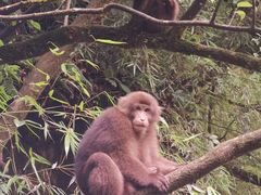 -西岭雪山大飞水景区