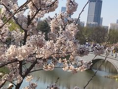 -大连植物园