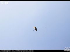 -东寨港红树林旅游区