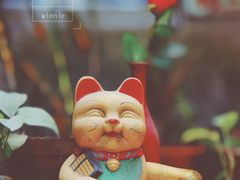 -小洲村