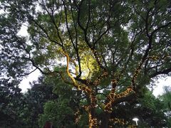 -西湖天地