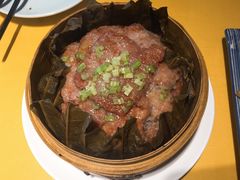 -素虎小呆鸟(西二旗店)