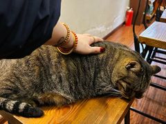 -HUG COFFEE(鼓楼店)