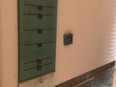 -深圳星河丽思卡尔顿酒店
