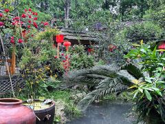 -青城甲(青城山店)