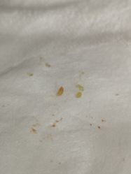 -肌理言健康美肌驻颜所
